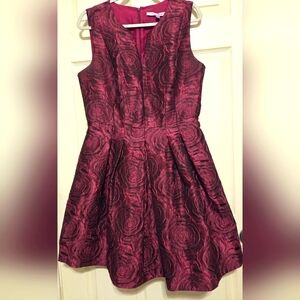 Elegant Luxe by Carmen Marc Valvo Black and Magenta Roses Dress Size 10